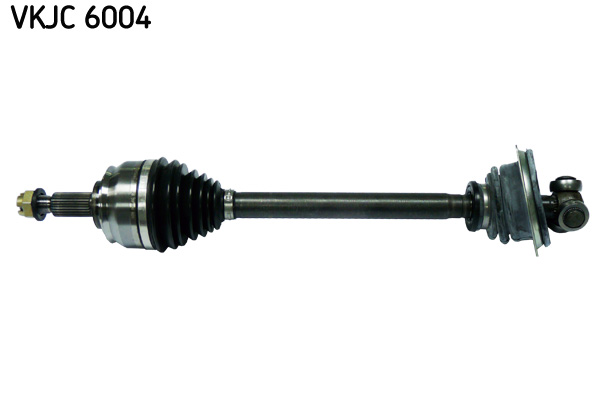Planetara VKJC 6004 SKF